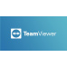 TeamViewer 15 Business, 1 rok