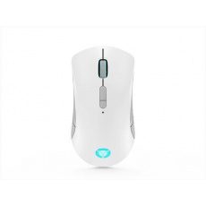 Lenovo Legion M600 Wireless Gaming Mouse (Stingray)