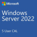 DELL_CAL Microsoft_Windows Server 2025 DatacenterNo Media WS2022 DC Downgrade w/DVD MediaMulti Lang Customer Kit